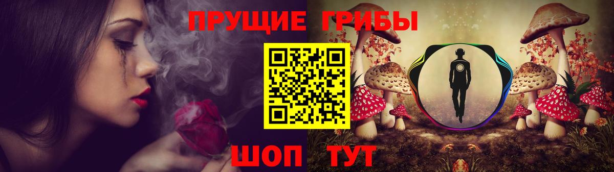Чита  Псилоцибиновые грибы мухоморы  Галлюциногенные грибы Magic Shrooms  Вход с VPN 